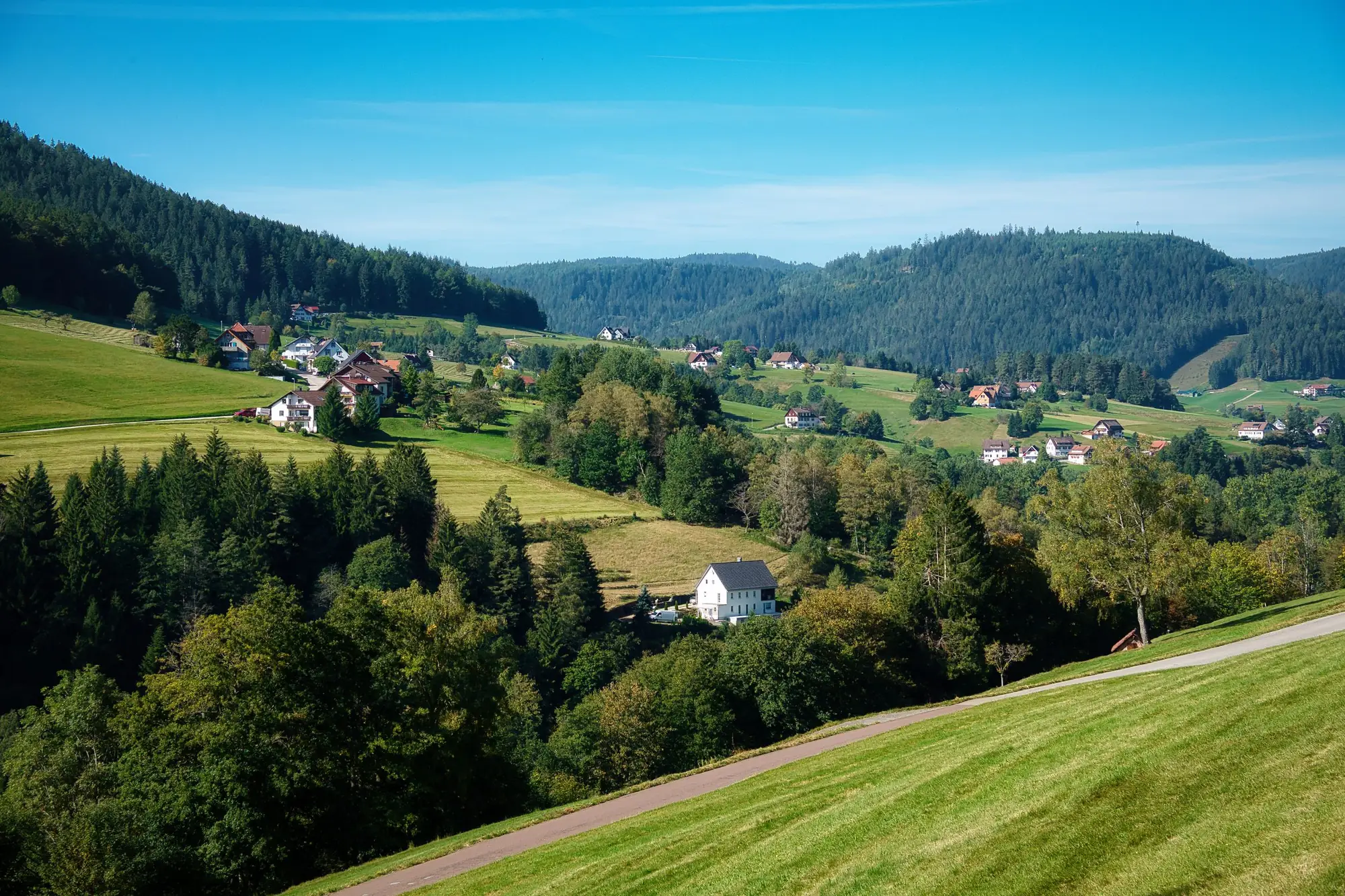 Hügel, Wiesen und Wald im Schwarzwald